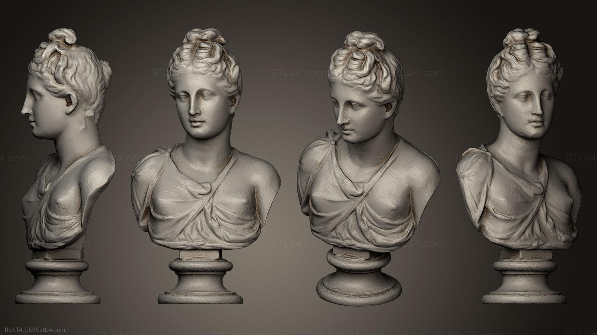 Бюсты и головы античные и исторические (Неизвестная Женщина 2, BUSTA_0525) 3D модель для ЧПУ станка
